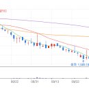 (주)더블유에스아이 이미지