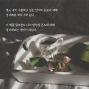 디자인제제 이미지