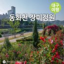 무태조야동 행정복지센터 강당 | 대구 북구 동화천 장미정원 데이트 가볼만한곳