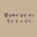 스카이윙 이미지