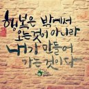 다이돌핀Didorphin 네이버블로그