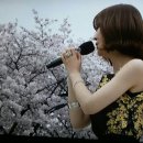 꽃길 윤수현(전국노래자랑) 이미지