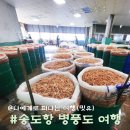 득량만 어촌체험 민박 | 신안 병풍도 배편, 송도항 섬티아고 순례길의 시작(민박, 숙소)
