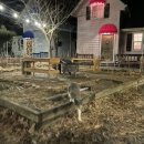 정선스테이 이미지