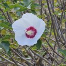 장호농장 이미지