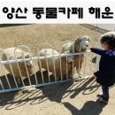 해운목장 이미지