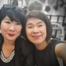 이화가발
