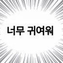 세라유치원 이미지