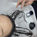 정릉사우나 피부미용실 | 합정 미용실 : 비오브 합정 ♩ 하준 원장님 아윤채 클리닉으로 염색 손상모 관리한 후기