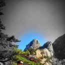 서울시립대학교 도시과학대학원 이미지