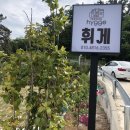 [거제도여행] 거제도/가조도 힐링 숙소 ‘휘게펜션’ 추천 후기👍