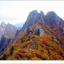 해마루플러스(해피드림) 이미지