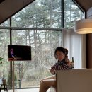 양양독채펜션감성스테이야양에감 | 양양 신상 독채 펜션 실반스테이 숲속 오두막 느낌의 힐링 가득한 곳