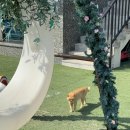 쥬쥬키즈풀빌라펜션 이미지