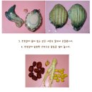 색다른 보양식..궁중 전복초와 쉬운 전복 손질법 이미지