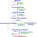 Muscle Fatigue 이미지