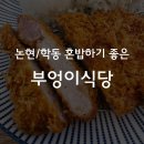 논현 / 학동 혼밥 하기 좋은 부엉이 식당 등심 돈가스 후기