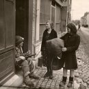 메레(mere) 이미지