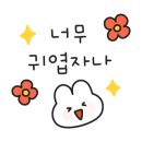 시루미 이미지