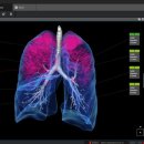 라인소프트 이미지