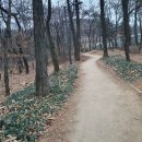 산사람 티스토리