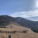 익수농장 이미지