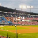 KT 위즈 파크 중앙지정석 320구역 3열 시야 후기 주차장 팁