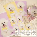 달란트스튜디오 이미지