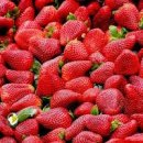 딸기 효능 부작용 100g 영양성분 딸기 1개 칼로리 이미지