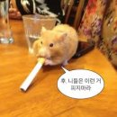 비바덤의원 이미지