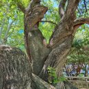 거손공인중개사사무소 이미지