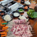 오리사냥 이미지