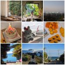 CU 행복주택점 | 7주년 결혼기념일❤️ 제주도 3박4일 여행 일정, 서쪽 남쪽 맛집 카페 가볼만한곳