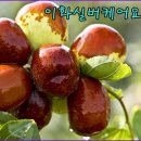 이화실버케어 이미지