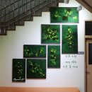 남한강초등학교 병설유치원 이미지