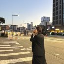 오오미미 이미지