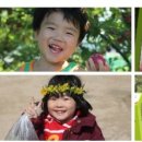 모실농장 이미지