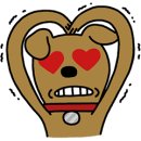 카스파이더 이미지