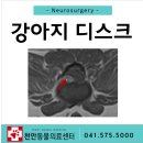 천안동물의료센터 24시 이미지