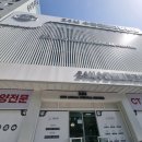 드림24동물병원 | 영등포동물병원 24시동물병원 강아지 발작 후기