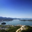 완도5호 이미지