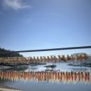 어부민박;태창6호 | [군산선유도/군산선유도민박] 군산선유도 어부민박에서 가족들과 행복했던 1박2일