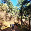 가평푸른숲요양병원 이미지