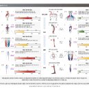 블러썸PT 이미지