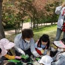 감정초병설유치원 이미지