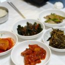 영월콩집