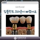 연세하이치과의원 이미지