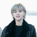 애쉬그레이 Daum카페