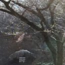 용암면사무소 앞 이미지