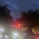 현아건어물 | 반얀트리,,풀파티에 미치다 (੭•̀ᴗ•̀)੭ ❤️‍🔥
